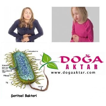 Bağırsak Parazitleri Temizleyici Şurubu Kurt ve Solucan Dökücü 