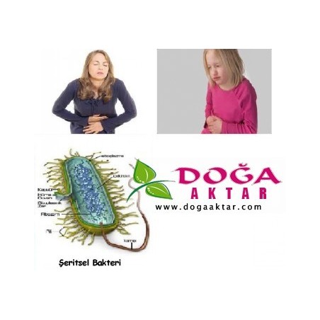 Bağırsak Parazitleri Temizleyici Şurubu Kurt ve Solucan Dökücü