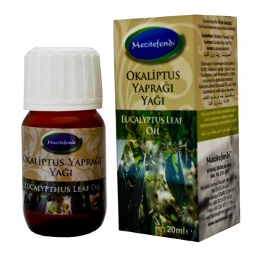 Okaliptus Yagı 20 ml Mecitefendi