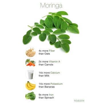 Moringa Tozu 100 gr