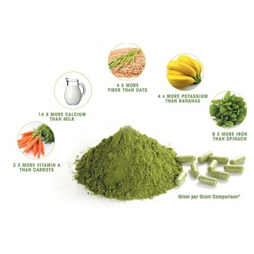 Moringa Tozu 100 gr Moringa Tozu 100 gr