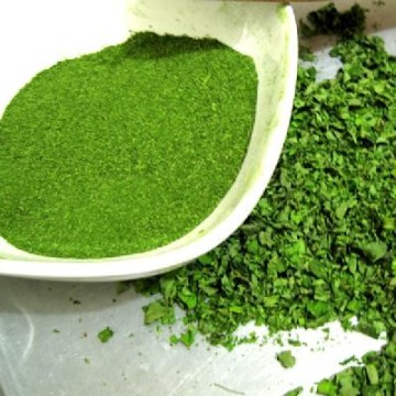 Moringa Tozu 100 gr