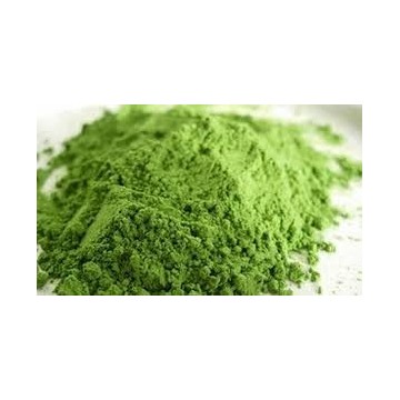 Moringa Tozu 100 gr