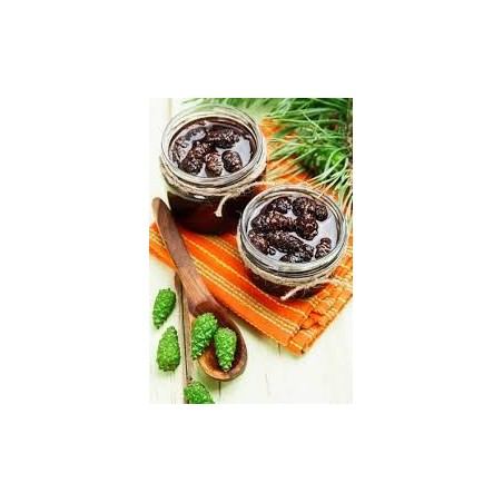 Çam Kozalak Pekmezi 500 gram