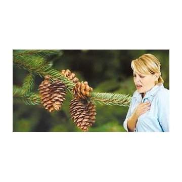 Çam Kozalağı Pekmezi 850 gram