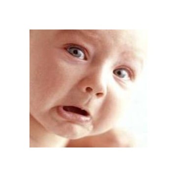 Adaçayı Acı Elma Yağı Organik Bitkisel