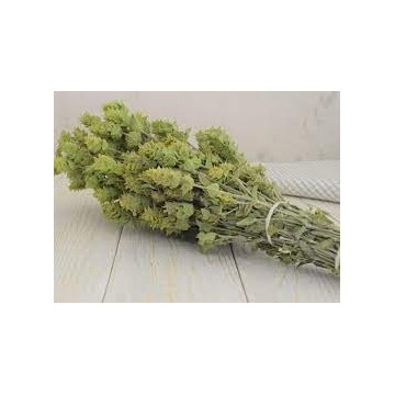 ADAÇAYI (DAĞ -YAYLA - TOROS) 15 GR Bitki Çayı Mecitefendi