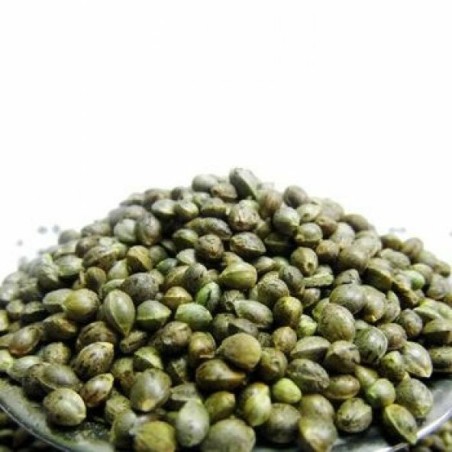 ÇİĞ KENEVİR TOHUMU YAĞI 250 ml