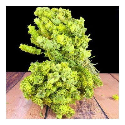 ADAÇAYI (DAĞ -YAYLA -...