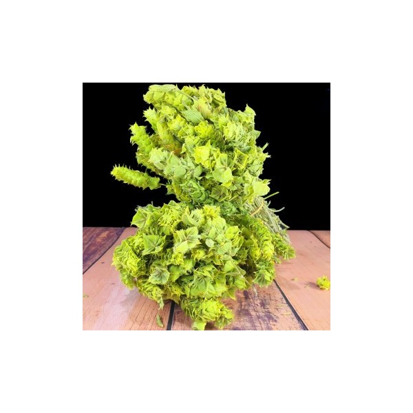 ADAÇAYI (DAĞ -YAYLA - TOROS) 15 GR Bitki Çayı Mecitefendi