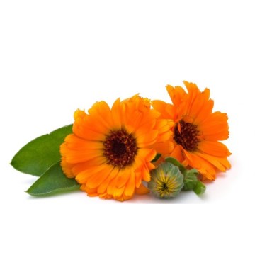 Aynı Sefa Yağı Mecitefendi Organik Bitkisel