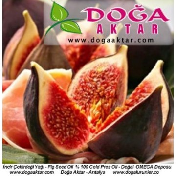 İncir Çekirdeği  Yağı Fig Seed Oil