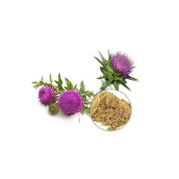 copy of Milk Thistle - Deve Dikeni Kapsül 