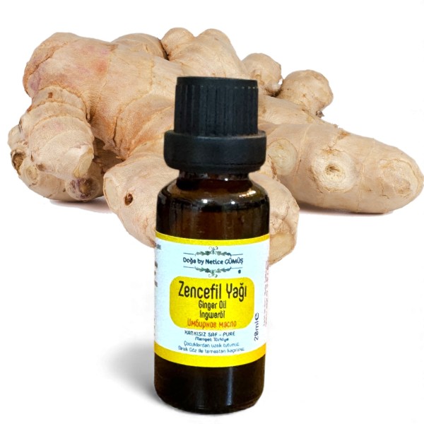 Zencefil Yağı, Ginger Oil - Ingweröl - Имбирное масло